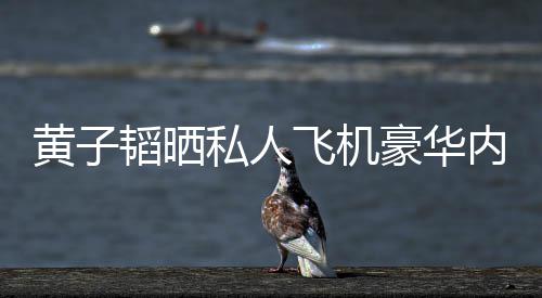 曝光普维韬晒黄子豪华护要飞机 粉内饰万私人丝科